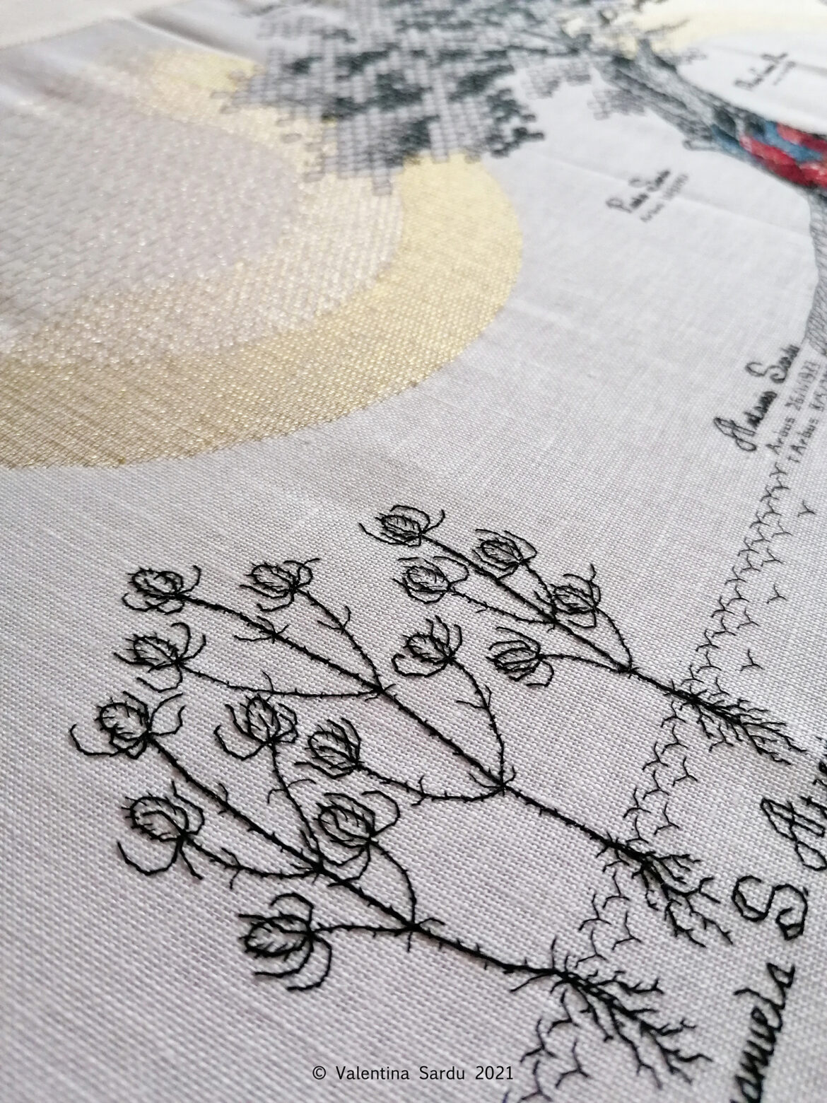 4 ottobre 2021 Dipsacus fullonum